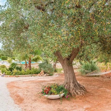 Trullo Oroncall Con Piscina * San Vito dei Normanni
